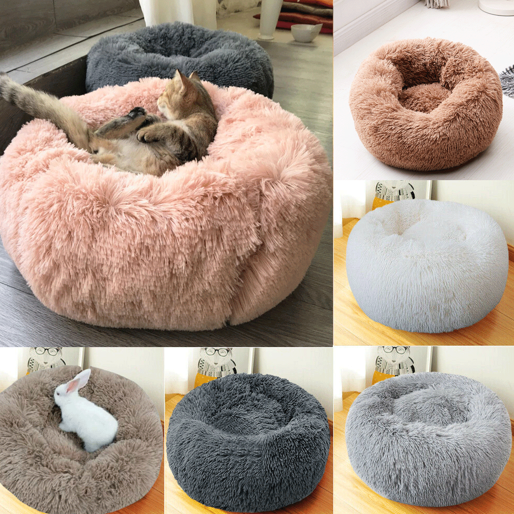 Rosa-roupa Casa De Gato Cama De Pelúcia Macia Melhor Cão De Estimação Cama  Cesta Do Cão Pet Fornecimentos Almofada Gato | Shopee Brasil