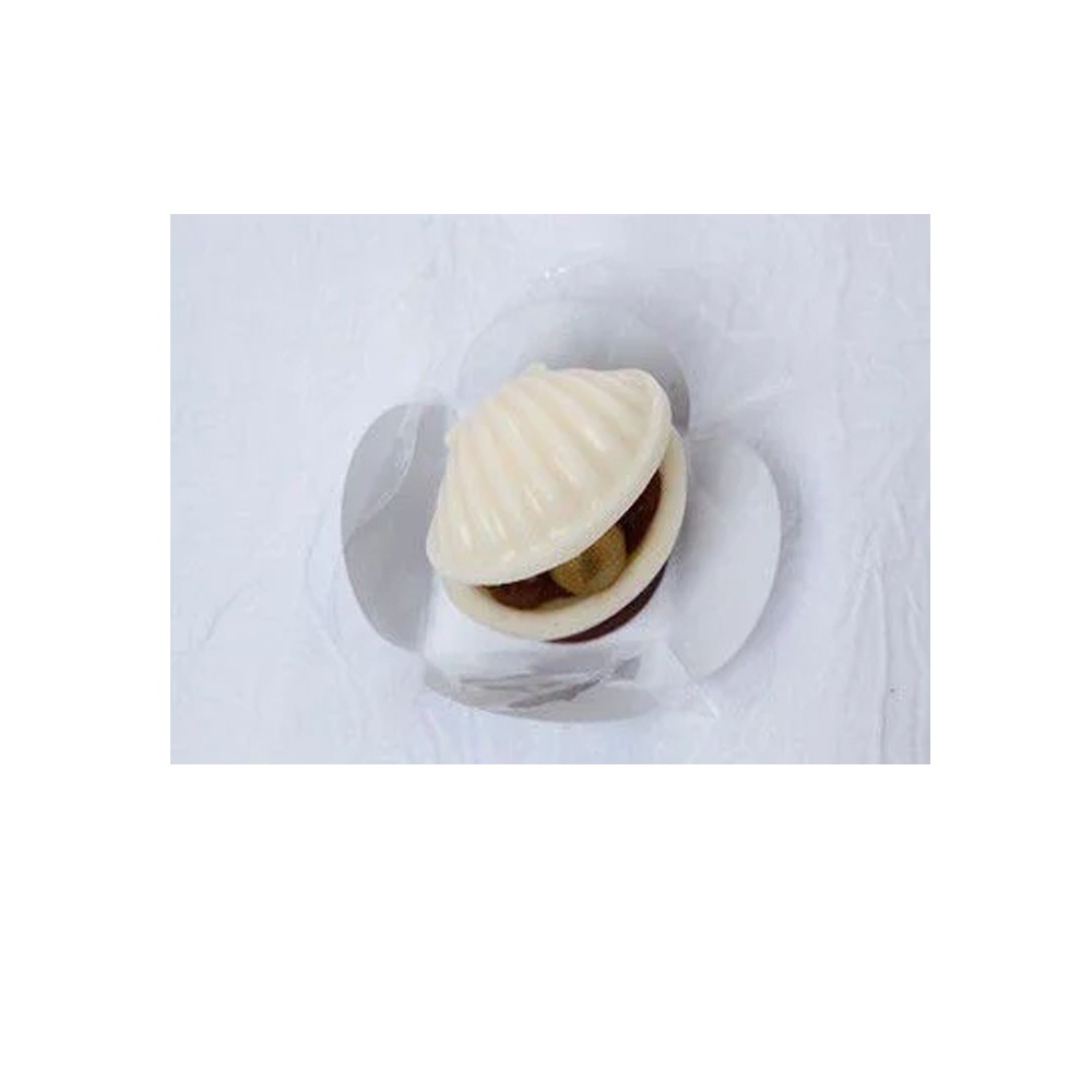 Forma Especial Concha Shell SP253 BWB em Oferta na Shopee