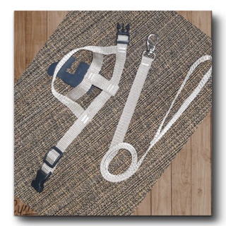 Coleira Guia Peitoral Para Cachorro Gato Ajustável Pet Cão Pequeno e médio Porte em Oferta na Shopee