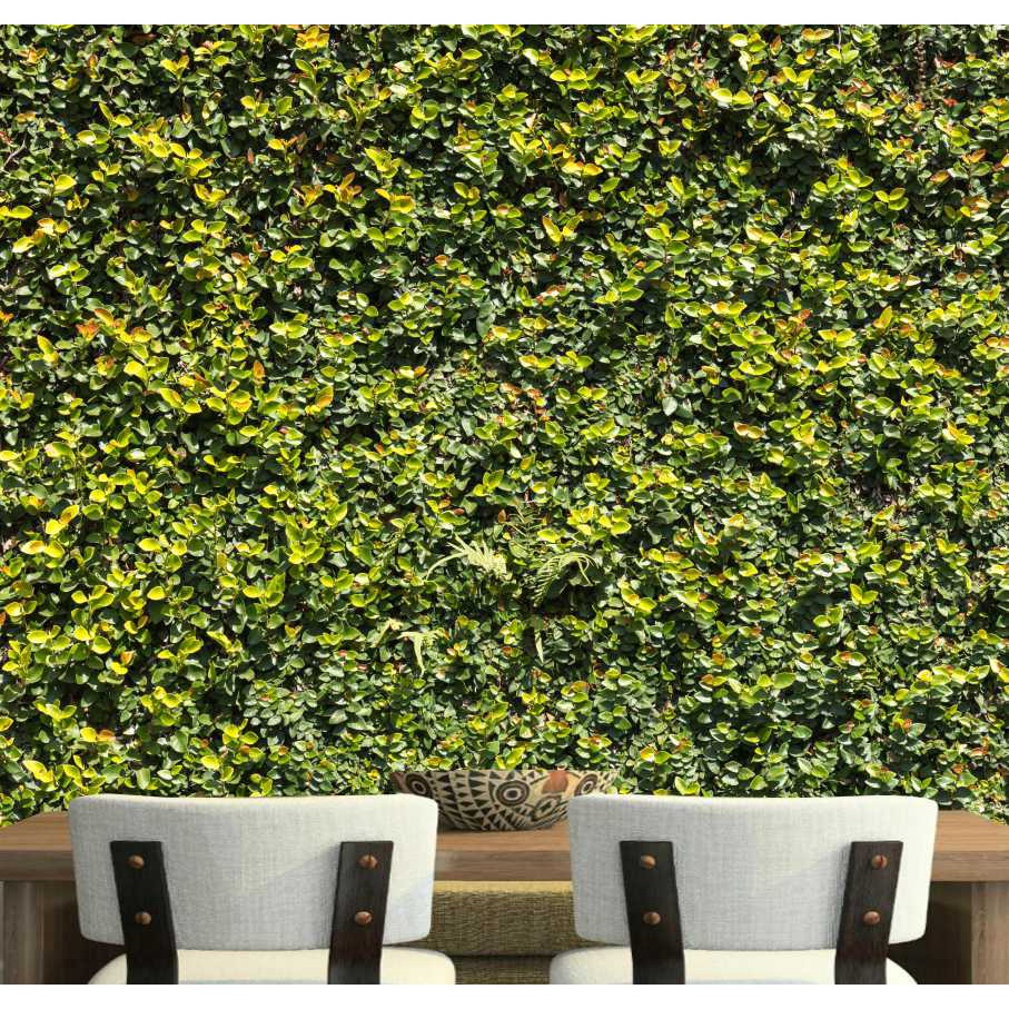Adesivo Parede Cerca Viva Paisagismo Jardim Vertical Gg781