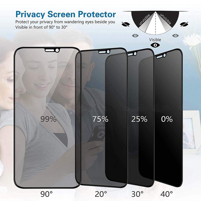 Protetor De Tela De Vidro 9H Privacidade Completa Para iPhone 12/13 Pro MAX/X/XS XR
