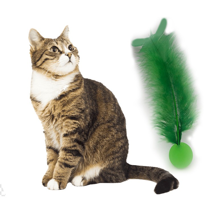Bolinha pula pula 3 unidades com pena para gatos animais de estimação