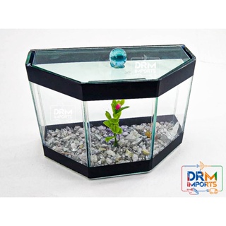 Aquário Ômega 18x9x13 1,3L Beteiras Peixes Betas Pedrinhas em Oferta na Shopee