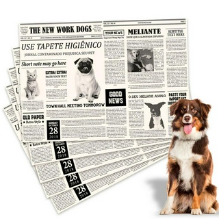 Tapete higiênico jornal para cachorro pet gaiolas pássaros papel limpo biodegradável 60 UNIDADES