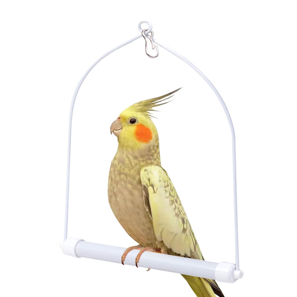 Balanço Calopsita Especial Branco para Gaiola Ring Neck Rosela e Psitacídeos do Mesmo Porte