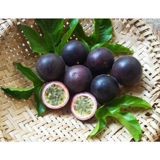 Sementes de Maracujá Roxo