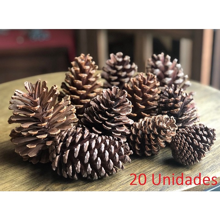 Pinhas 20 unidades Naturais de Pinus - Para Decoração Natal e Eventos |  Shopee Brasil