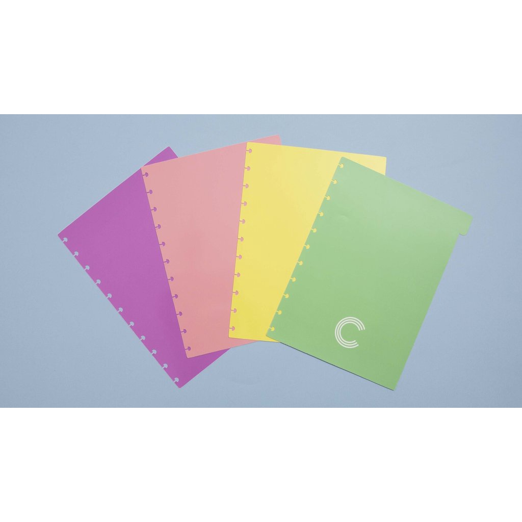 DIVISORIAS PASTEL P/ CADERNO INTELIGENTE- Grande