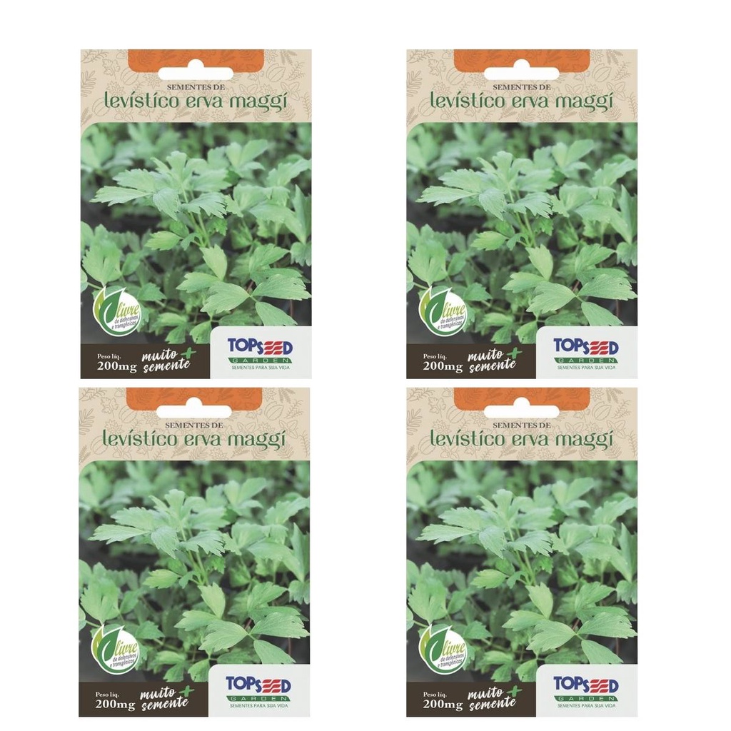 4X Sementes Levístico (Erva Maggi) TOPSEED
