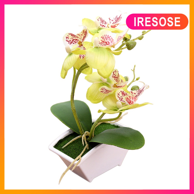 Siresose) Bonsai Artificial De Orquídea Phalaenopsis Flor / Real Toque /  Buquê / Decoração Verde | Shopee Brasil