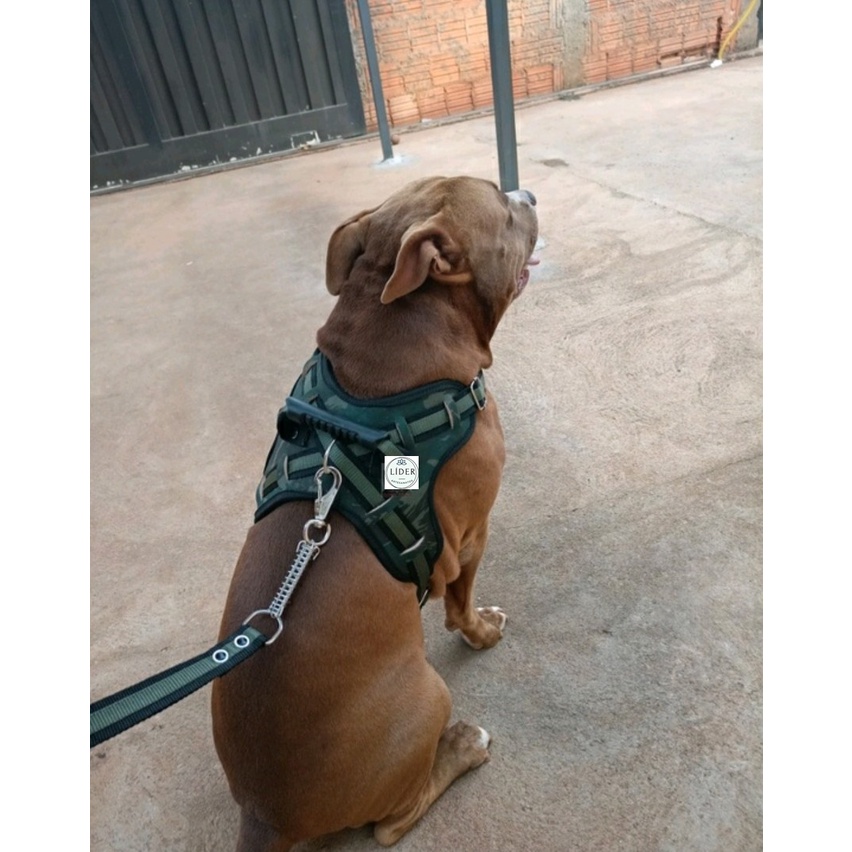 Peitoral Coleira +Guia Anti Puxão Para Cachorro Grande Porte em Oferta na Shopee