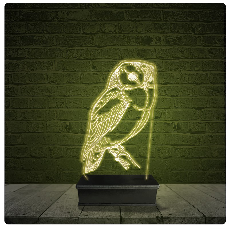 Led Luminária Acrílico Abajur - Coruja Ave falcoaria