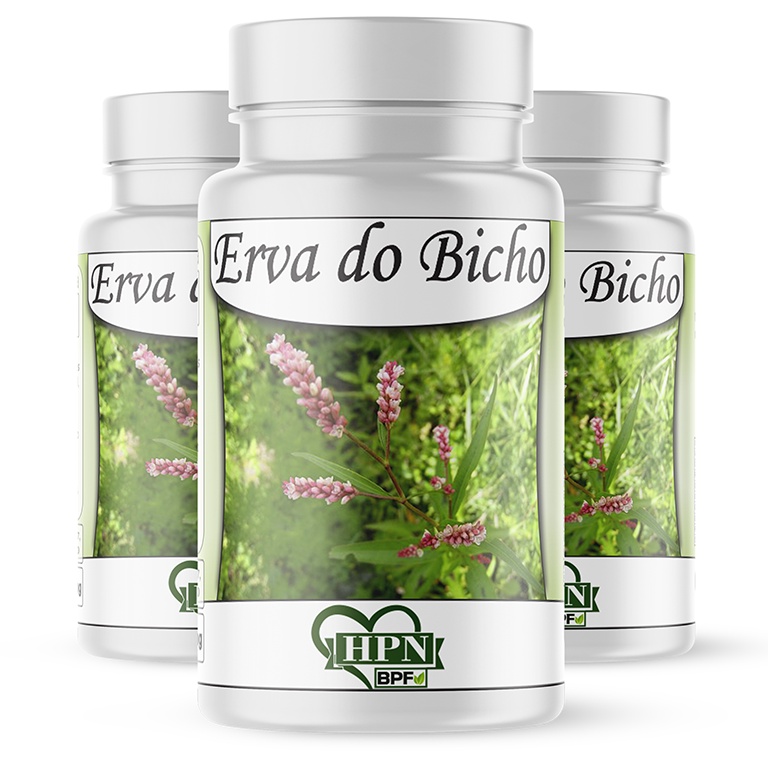 Erva de Bicho (Polygonum persicaria) Planta Medicinal 180 Cápsulas / 500mg