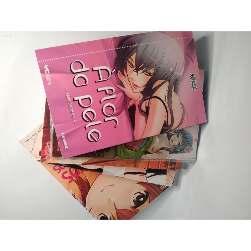 Coleção Mangá Hentai - Valor unidade / Box Lote 16+