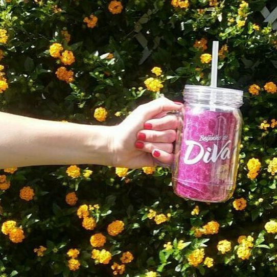 Caneca Pote Diva 450ml Ludi