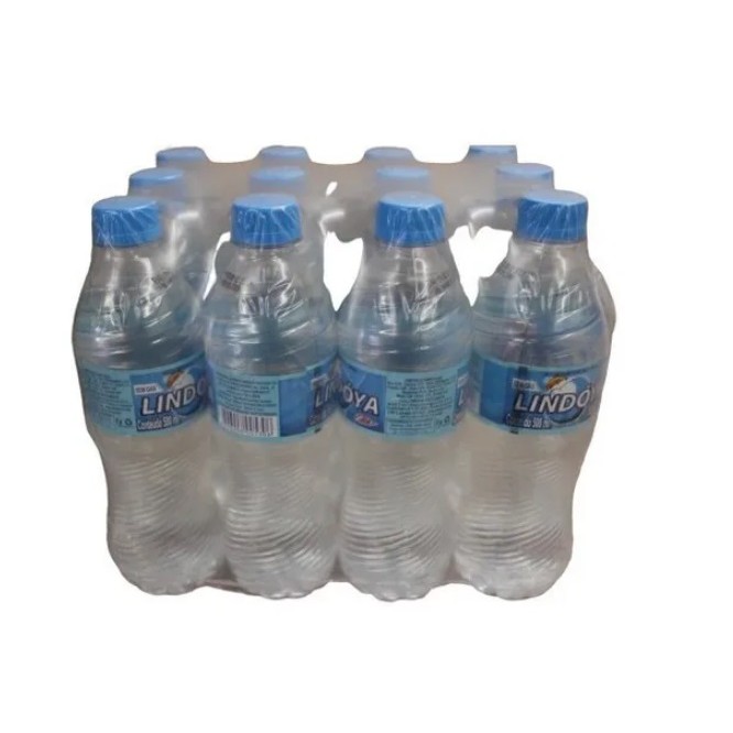 Água Mineral Sem Gás Lindoya Pet 500ml C/12 Unidades