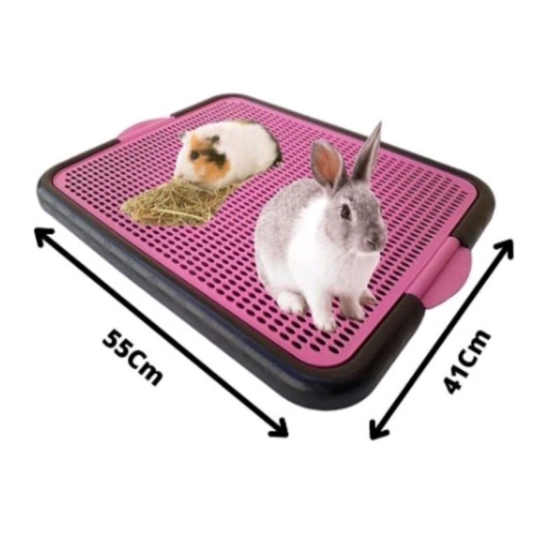 Tapete Banheiro Higiênico Porquinho da Índia Coelho Lavável