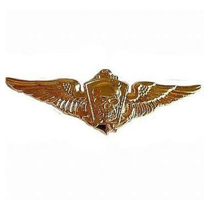Broche Brevê - Marinha Do Brasil - Comandos-anfíbios - Caveira (3f)