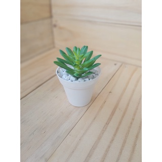 Plantas artificiais decorativas vaso suculenta robert plant vasinho branco