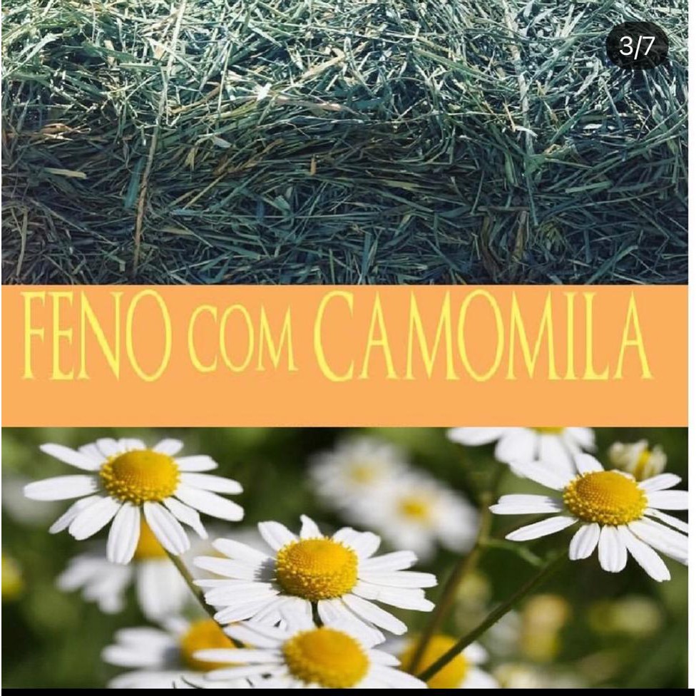 Kit 10 Feno Sabores Camomila Dente de leao Calendula Amora Cenoura Franboesa Hortela Cidreira Manjericao Hibisco 100gr cada pacote