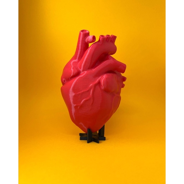 [O MAIS VENDIDO+ENVIO RÁPIDO!] Coração Anatômico Protótipo + Base - Modelo Anatômico de Coração Humano - 3D em Oferta na Shopee