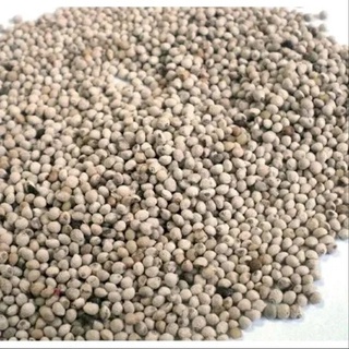 Semente de Perila (100g) em Oferta na Shopee