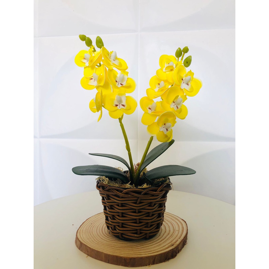 Vaso Cachepot Junco Planta Pote Fibra Sintética Orquídea silicone | Shopee  Brasil
