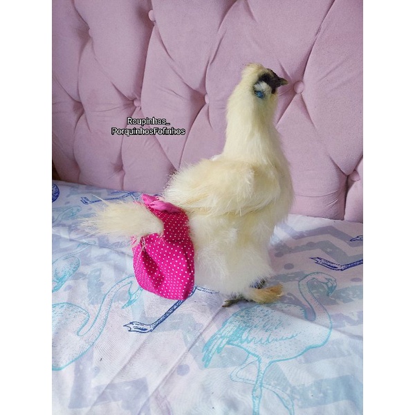 calcinha pet fralda lavável impermeável para galinhas, galos, patos