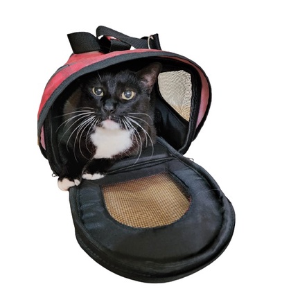 Bolsa Mala Casinha Passeio Pet Cachorro e Gato