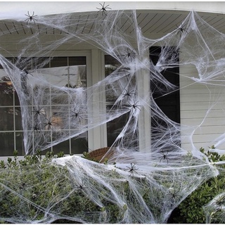 Decoração De Halloween Aranha Assustado branca com arainhas