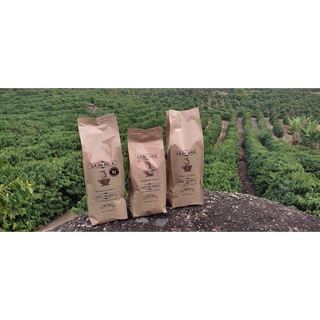 Café Torrado 100% Artesanal Lá Da Roça