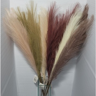 Pampas  de Seda Artificial *5 hastes*