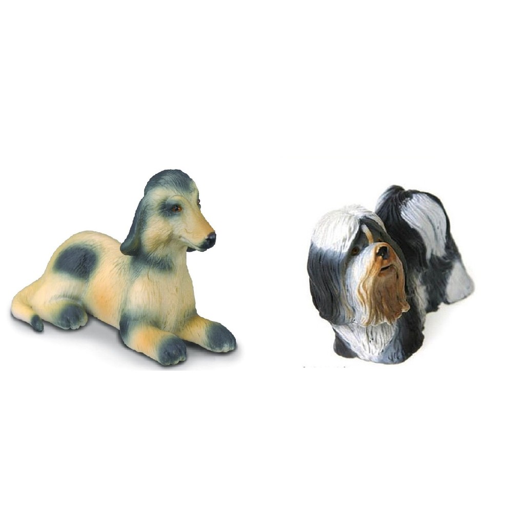 Cachorro Afghan Hound: Onde Comprar | BuscaProdutos