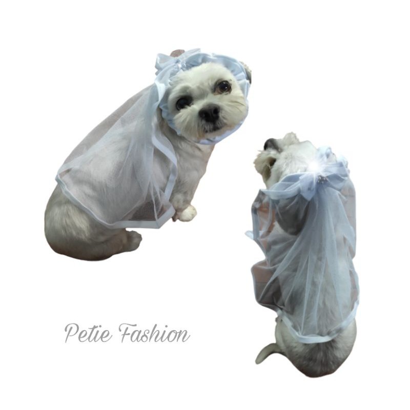 Véu de noiva pet, véu para cachorros, véu para gatos, noiva cadela