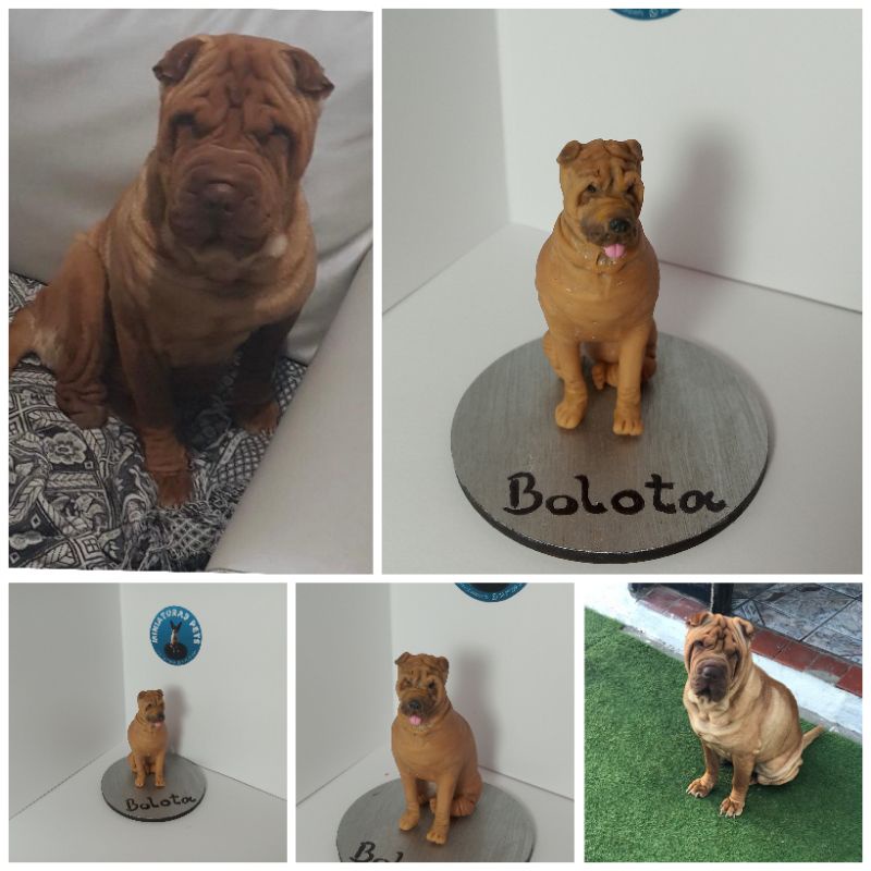 Miniaturas pets personalizadas em Oferta na Shopee