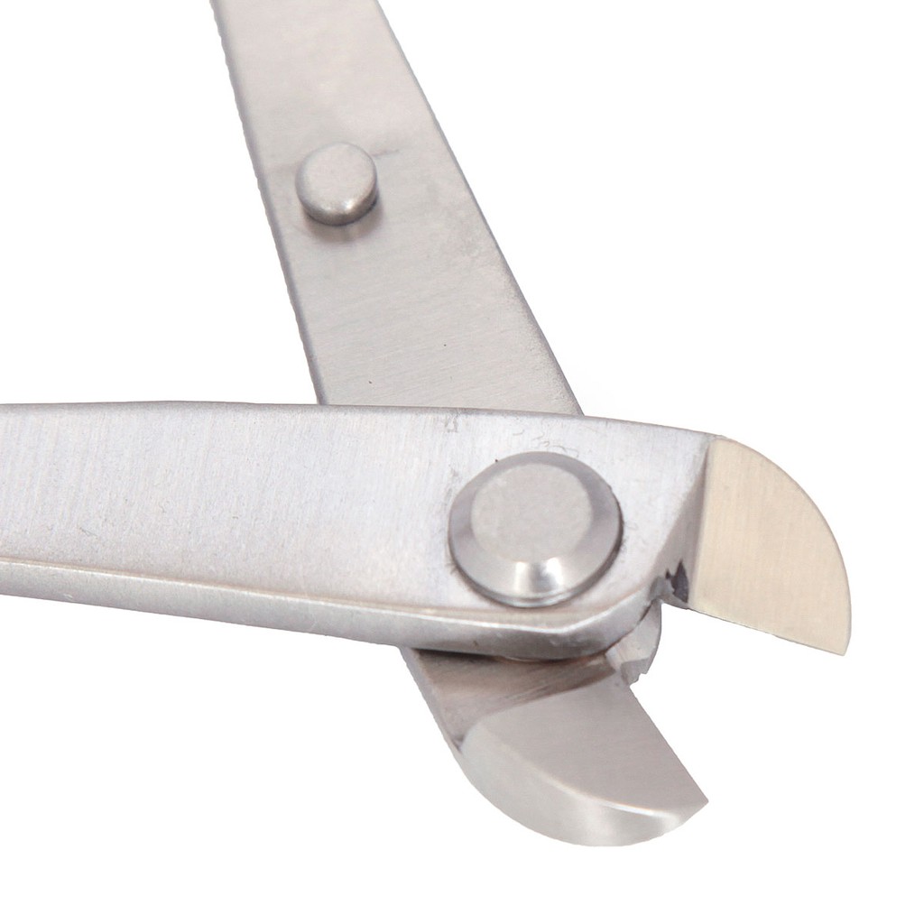 Alicate de Cortar Arame Para Bonsai em Aço Inox (Primeira Linha) - Abc do Bonsai