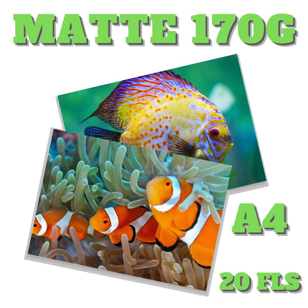 Matte 170g (A4 20 fls) Papel Fotográfico Fosco p/ Jato de Tinta