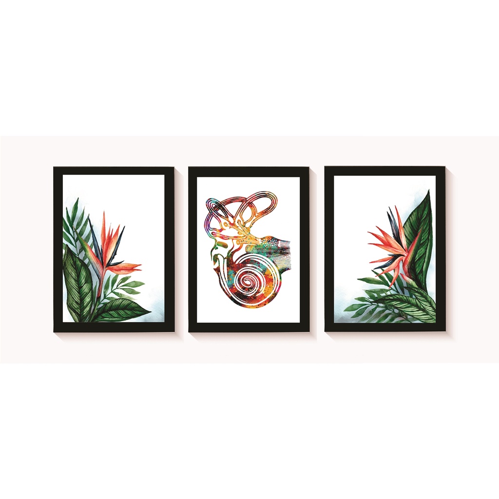 Kit 3 Quadros Decorativos Ouvido Flores Decoração Consultório Médico Otorrinolaringologia Molduras 20x30cm Madeira