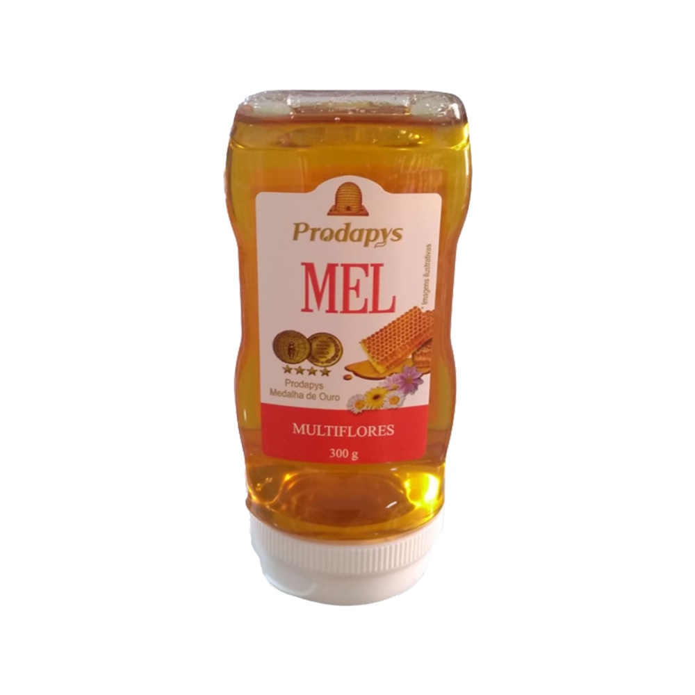 Mel Multiflores Bisnaga 300g - Prodapys