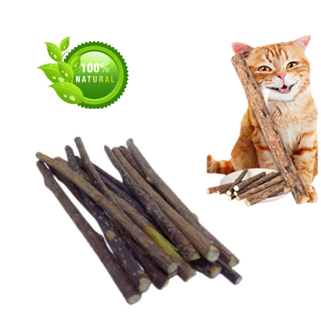Pacote 15 unidades Vara Graveto Catnip Matatabi Limpa Dentes - Deixa o Gato Feliz