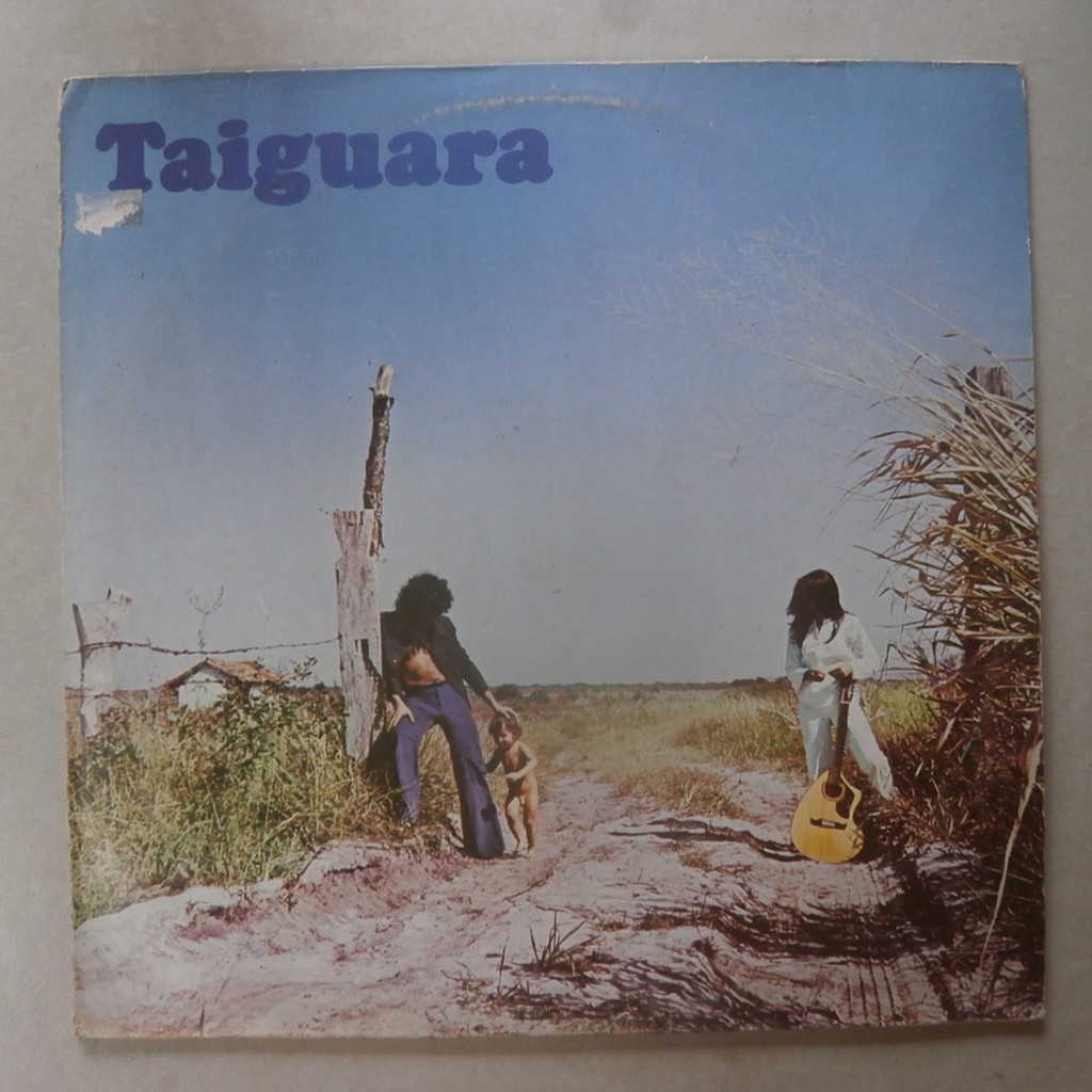 Lp Sucessos De Taiguara 1985 Hoje, Amanda, Viagem, Disco de Vinil