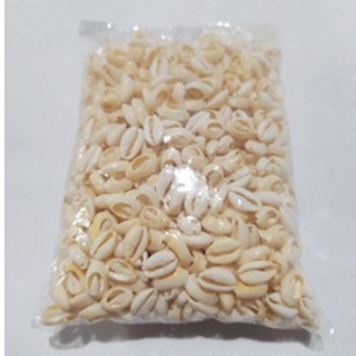 Buzios  500 GRAMAS Cortado para Artesanato Pacotes com 500gr