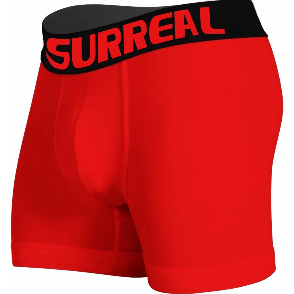 Kit Com 10 ou 5 Plus Size cuecas Masculino Microfibra Extra Grande em Oferta na Shopee