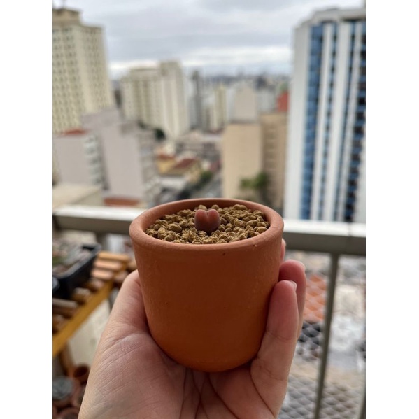 mini vaso de barro cerâmico mini Itália /  kit 5 unidades.