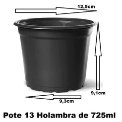 10 Vasos Pote 13 de 725ml Nutriplan Preto Flexível - Mudas Rosa do Deserto Suculentas Cactos