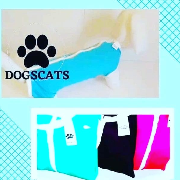 DogsCatsroupacirurgicapet