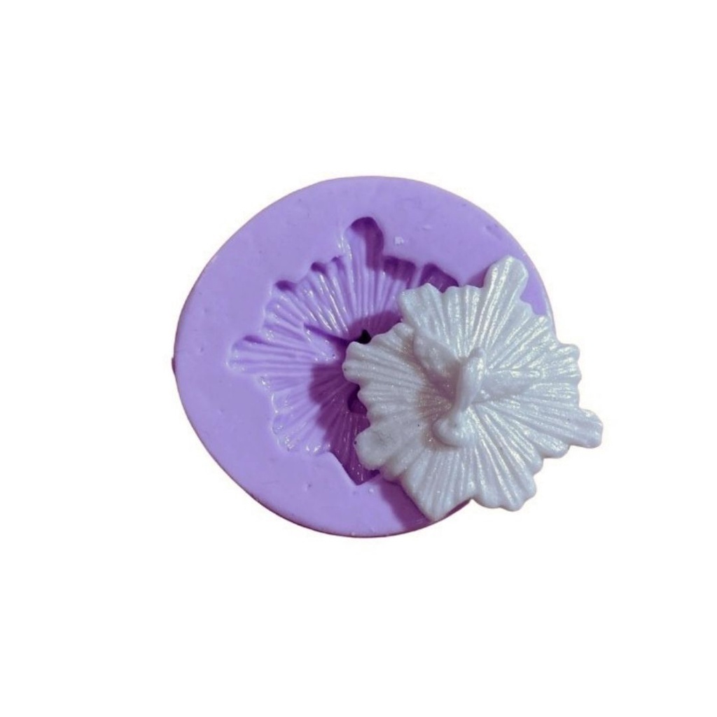 F1191 Molde De Silicone divino Espírito Santo religião Confeitaria Biscuit