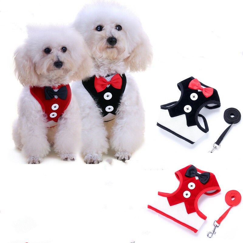 Coleira Ajustável Arco para Cães - Nó Personalizado com Nylon , Anti-Umedecimento em Oferta na Shopee