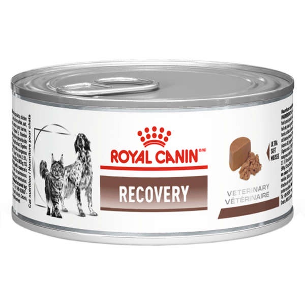 Ração Úmida Lata Royal Canin Veterinary Diet Recovery Cães e Gatos Adultos 195g em Oferta na Shopee