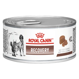 Ração Úmida Lata Royal Canin Veterinary Diet Recovery Cães e Gatos Adultos 195g em Oferta na Shopee